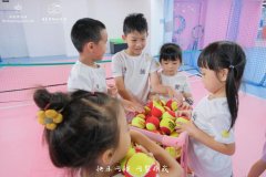 协会公告