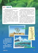 植物登陆交响曲