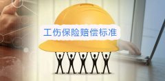 10级别赔偿标准】认定程序协议书申请