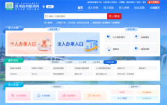 通过互联网实现了政务服务的在线办
