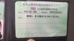 驾照新规则！这2个驾照合并成一个，