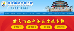  重庆市教育考试院网页截图 重庆市教