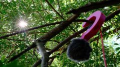  the project resulted in the development of an