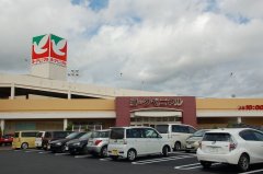  [更新：2025年7月17日] 新着クチコミ
