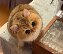 每日大赛24小时吃瓜聚集地