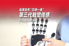 浙江福莱新材料股份有限公司