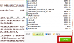 系统很快显示“审核通过