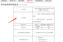 点击该网站的财产处置