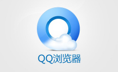 其中Flash Player的插件信息位于页面底部