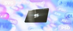 提供 Bandizip、BandiView 和 Honeycam 等功能