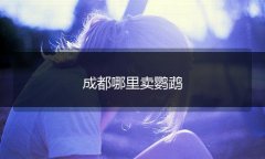 以下是一些您可以考虑的地点： 成都三联花鸟宠物市场 地址：成都市龙泉驿区