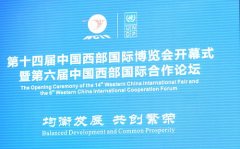 魏宏主持第十四届中国西部国际博览