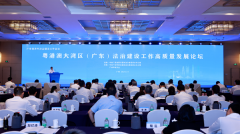 粤港澳大湾区(广东)法治建设工作