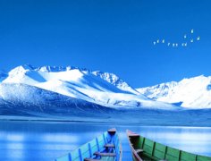 <strong>河南郑声律师事务所</strong>